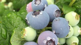 8d3f2f82e6f1a9bda16687a7521674