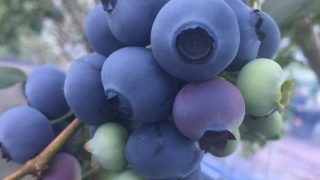 4f0d750656c238c2b2f97109a873c8