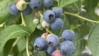 e27505770c1207b38f3bde801ba9e5