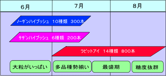 ブルーベリーの旬