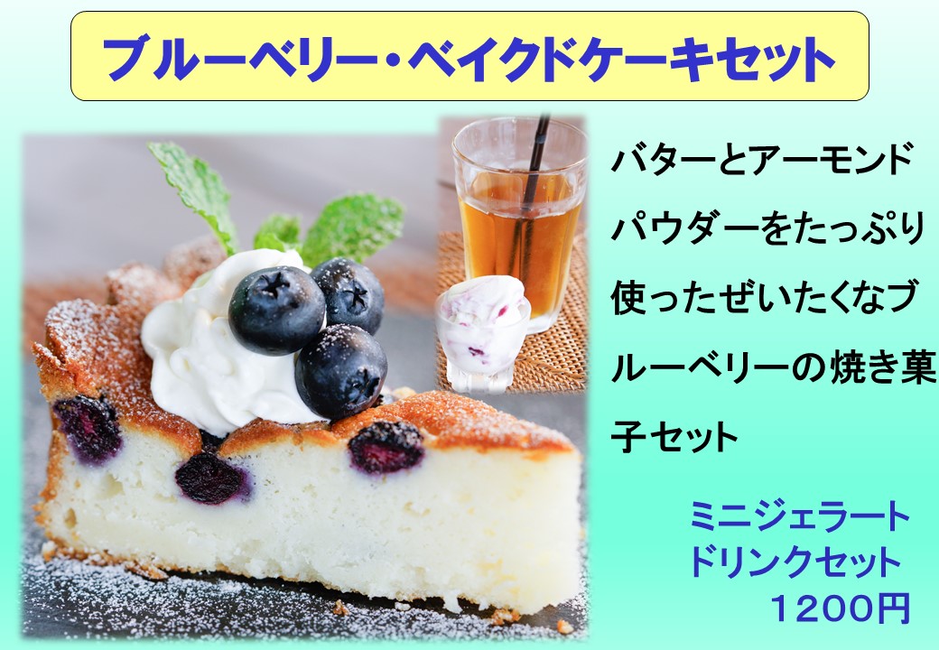 ブルーベリー ベイクドケーキセット 10円 ブルーベリファームおかざき