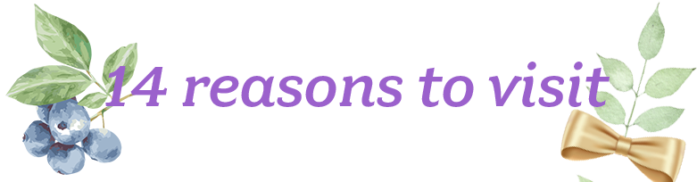 bn_reason