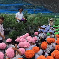 IMG_0419_ssize
